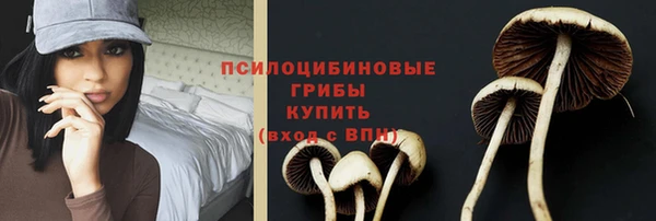 а пвп мука Алзамай