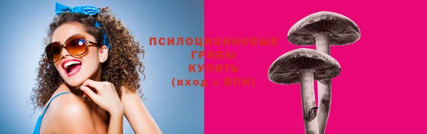 а пвп мука Алзамай