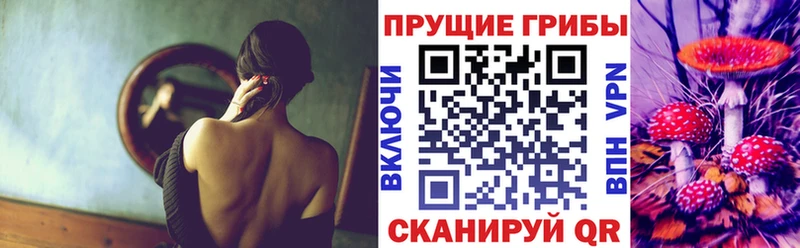 MEGA ТОР  Изобильный  Псилоцибиновые грибы Psilocybe 